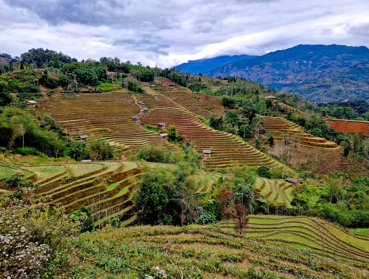 VIETNAM paso a paso